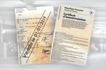 Nos prestations sur le secteur de Lattes près de Palavas les Flots