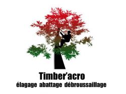 Spécialiste en élagage à Montpellier